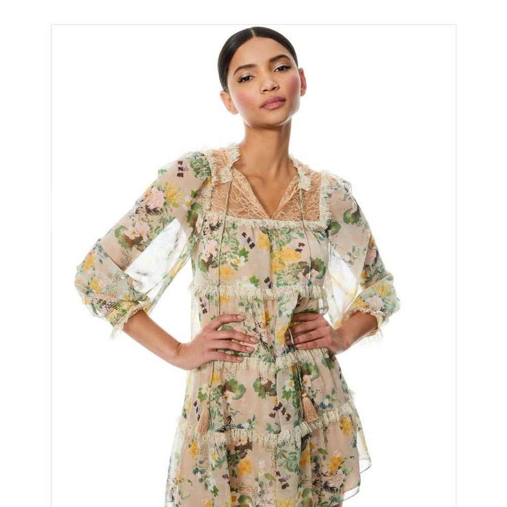 Alice + Olivia Dress brand new - New w/ Tags